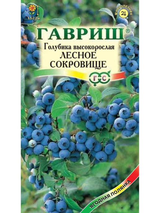 

Семена. Голубика высокорослая "Лесное сокровище" (10 пакетов по 30 штук)