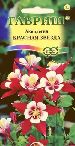 

Семена. Аквилегия "Красная звезда", гибридная (10 пакетов по 0,1 г)