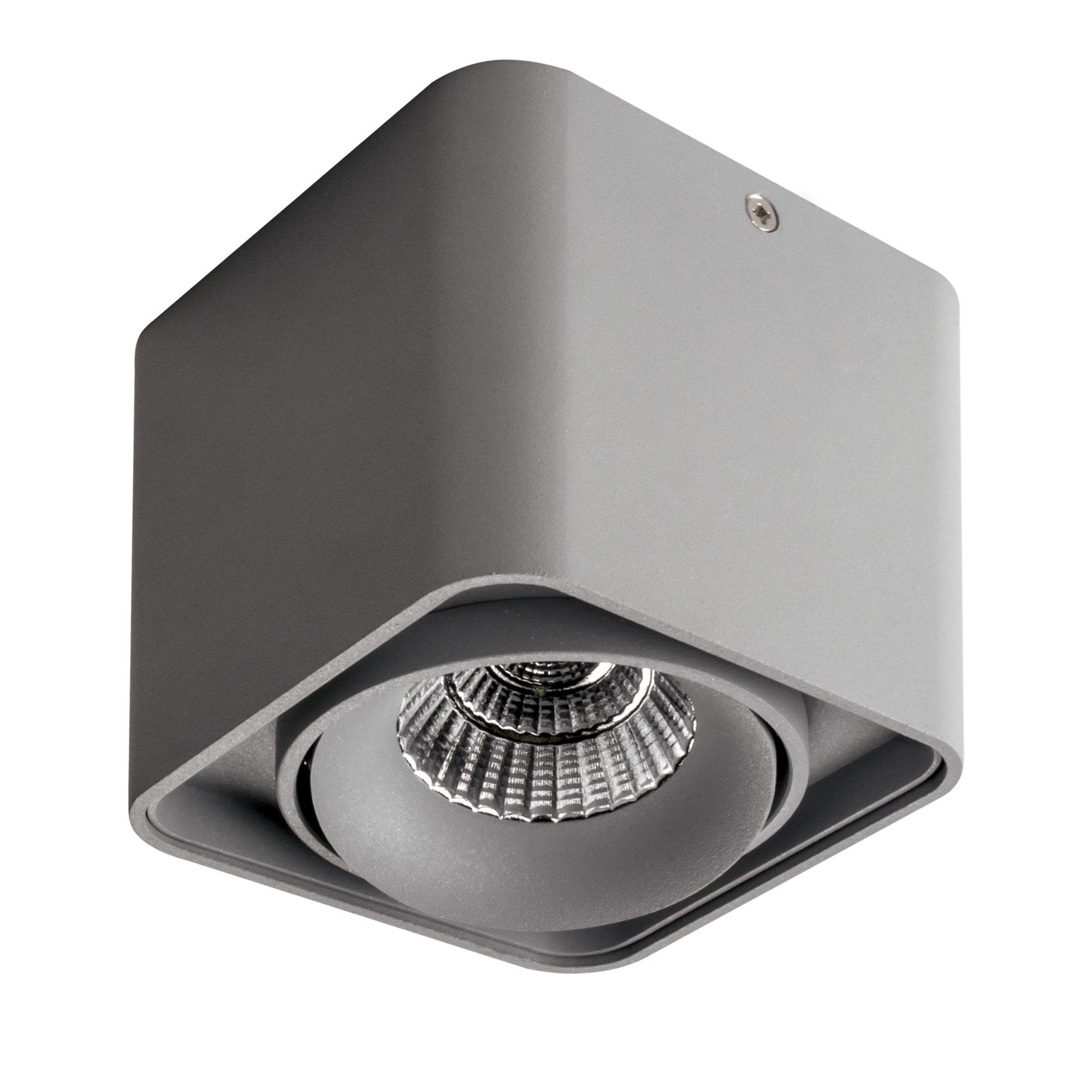 

Lightstar Светодиодный Светильник Lightstar Monocco 052119 серый 90мм 4000К, Светодиодный Светильник Lightstar Monocco 052119 серый 90мм 4000К