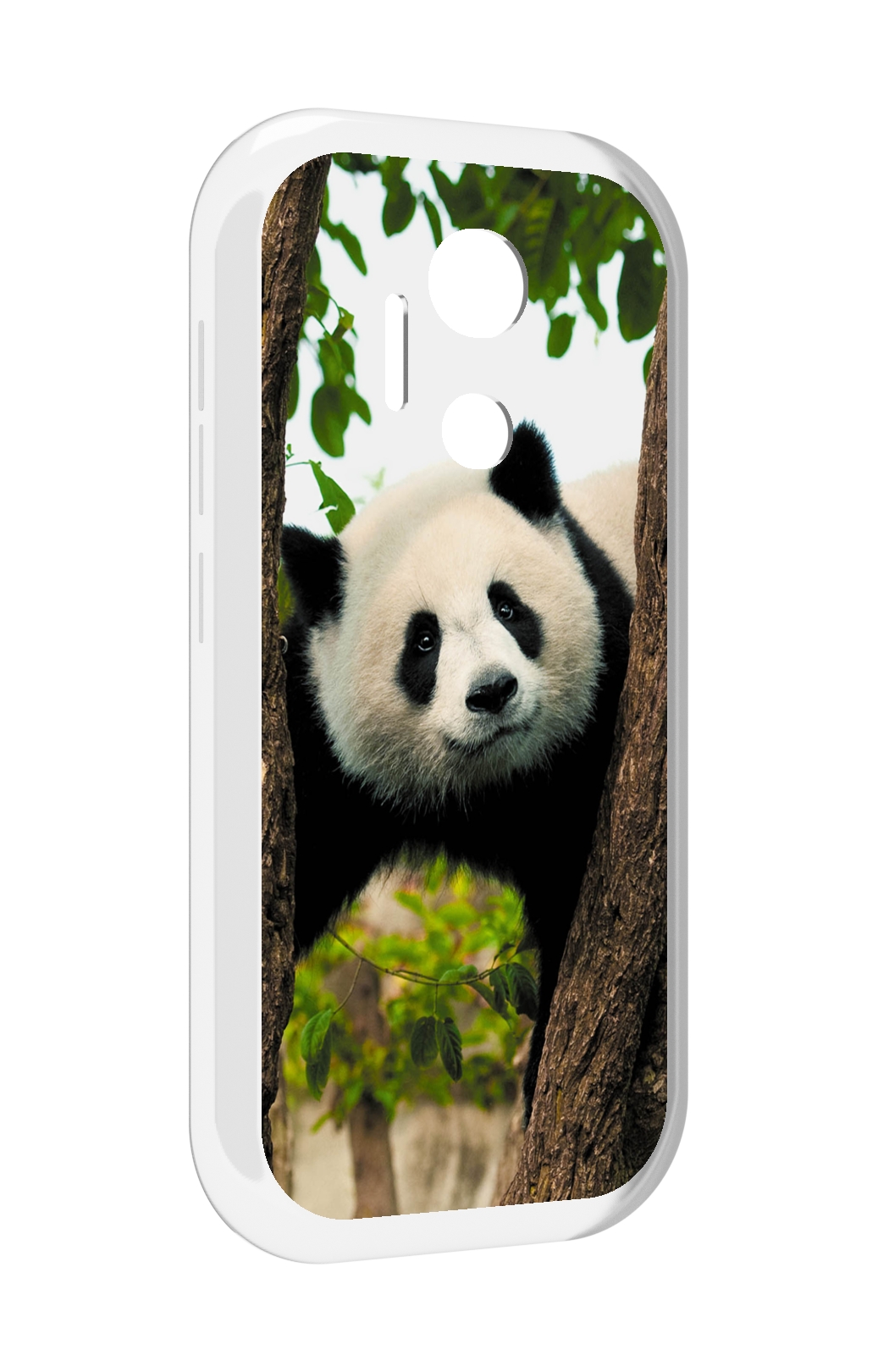 

Чехол MyPads Панда-на-дереве для doogee x97 pro, Прозрачный, Tocco