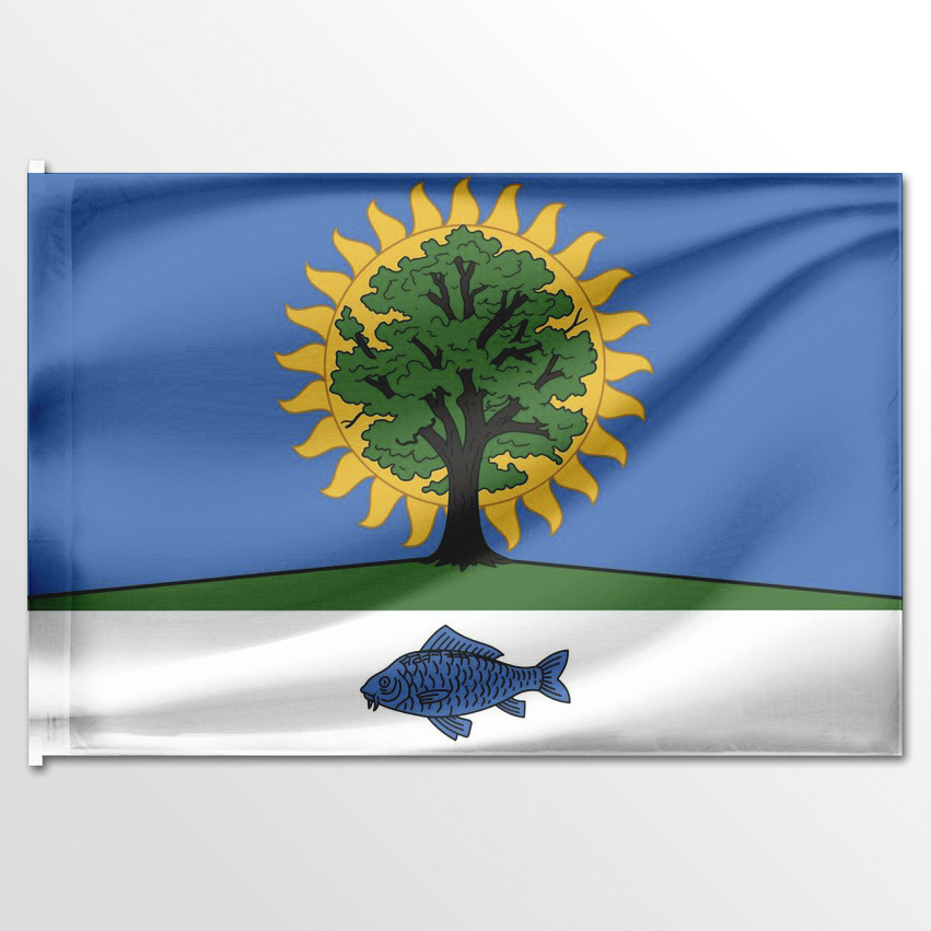 

Флаг ЦТП ФЕНИКС Новомичуринского городского поселения 135x90 см, 7319-135x90