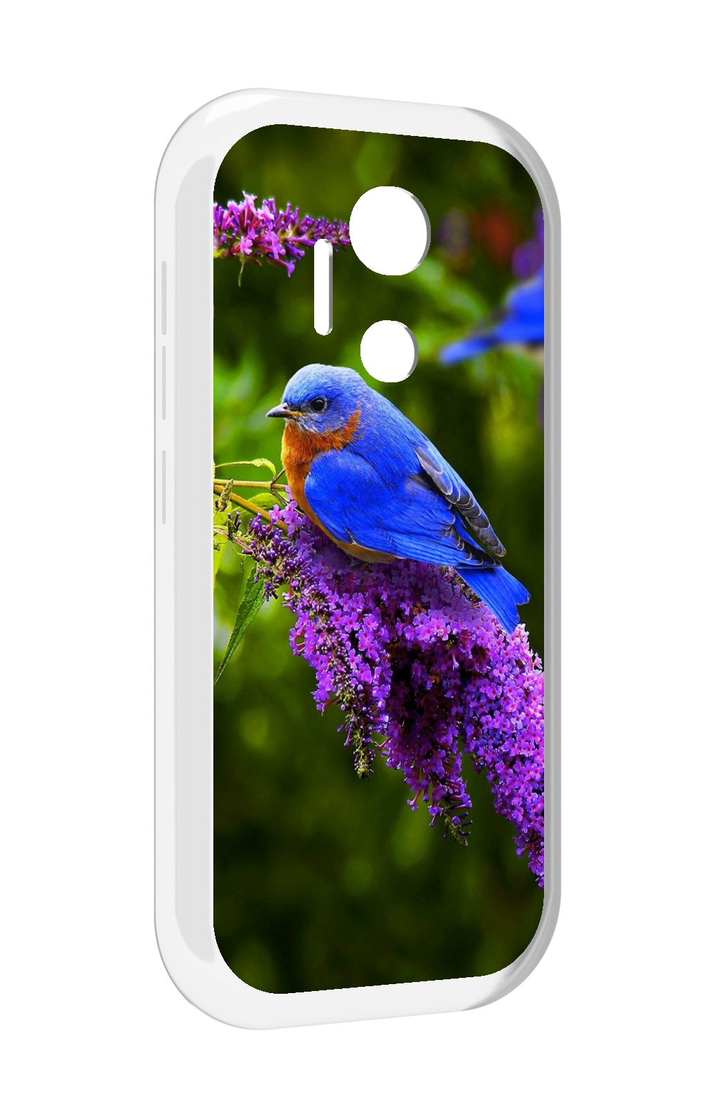 

Чехол MyPads Птица-сиреневая для doogee x97 pro, Прозрачный, Tocco