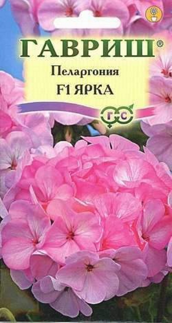 

Семена. Пеларгония зональная "Ярка F1" (10 пакетов по 4 штуки)