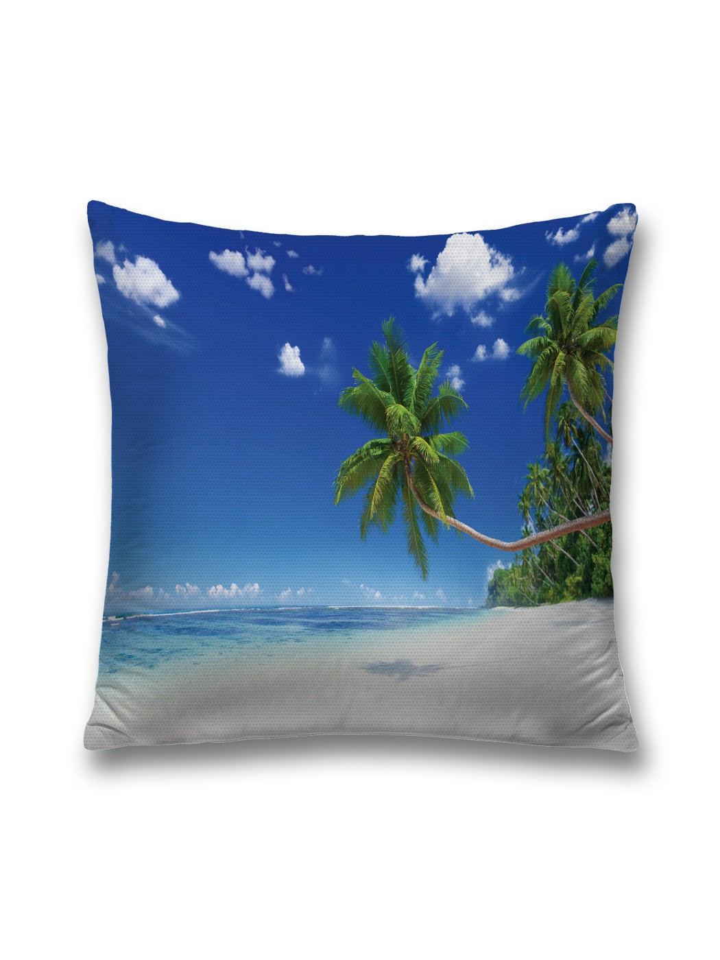 

Наволочка декоративная JoyArty "Выглядывающая пальма" на молнии, 45x45 см, Голубой