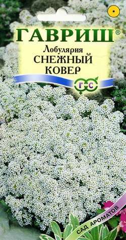 

Семена. Лобулярия морская "Снежный ковер" (10 пакетов по 0,2 г)
