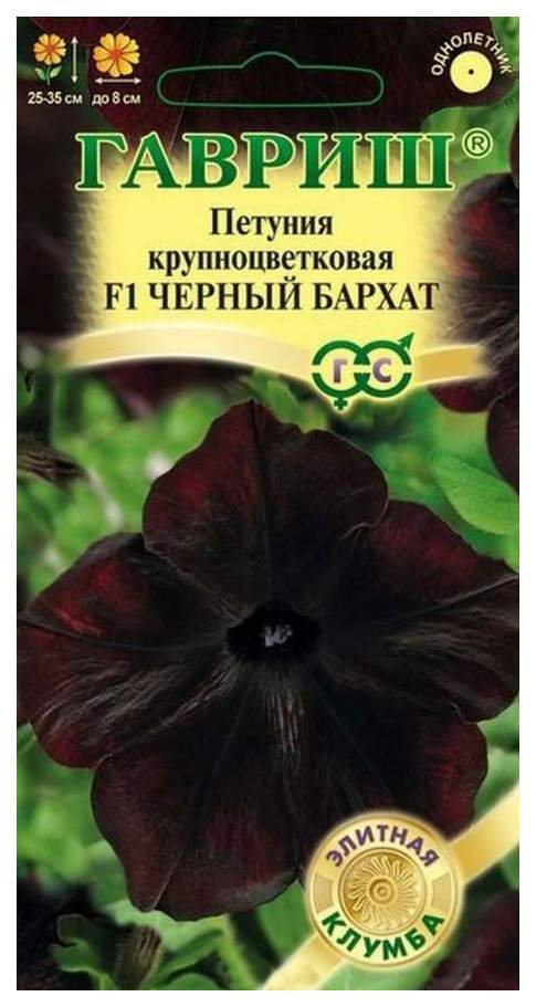 

Семена. Петуния крупноцветковая "Черный бархат F1" (10 пакетов по 1 пробирке)