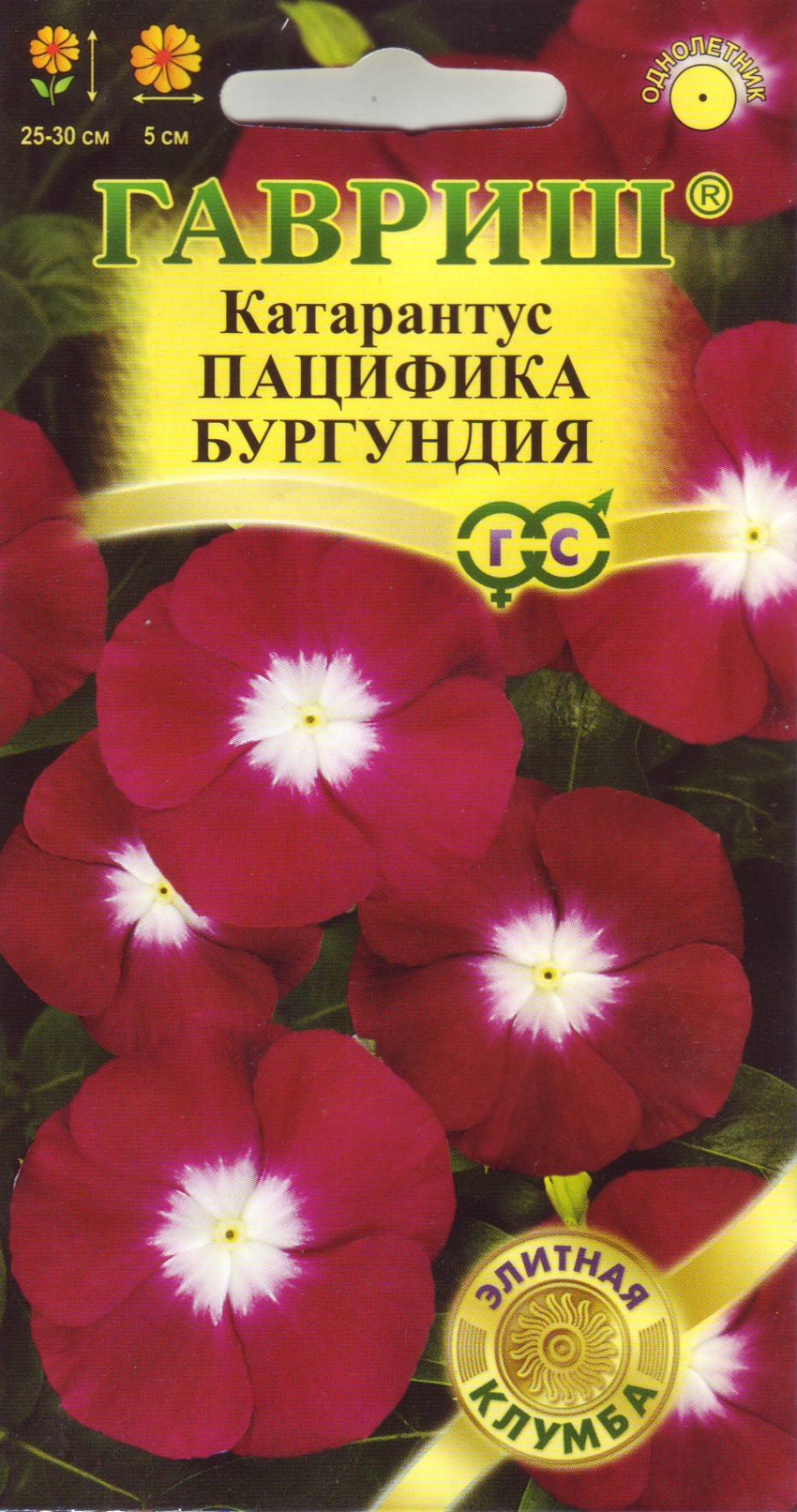 

Семена. Катарантус "Пацифика Бургундия" (10 пакетов по 7 штук)