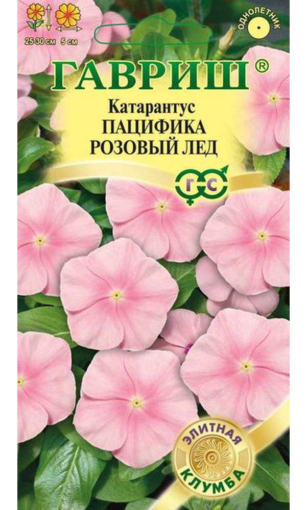 

Семена. Катарантус "Пацифика Розовый лед" (10 пакетов по 7 штук)