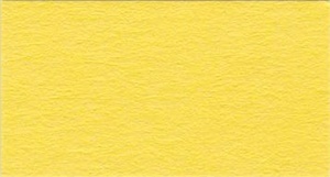 Vista-Artista 300 г/м2 А2 425х60 см 10 шт 14 желтый (yellow)