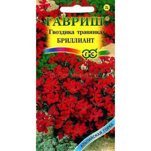 

Семена. Гвоздика-травянка "Бриллиант" (10 пакетов по 0,1 г)