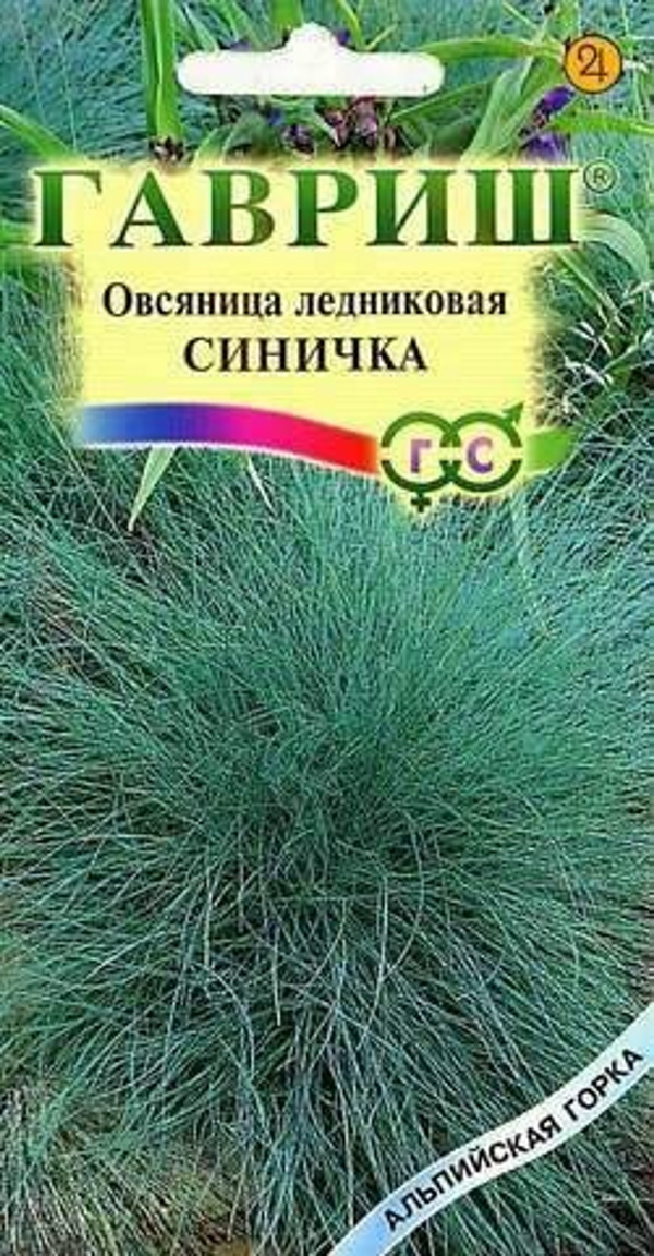

Семена. Овсяница ледниковая "Синичка" (10 пакетов по 0,1 г)