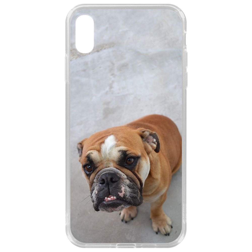 

Чехол-накладка Krutoff Clear Case Английский бульдог для iPhone XS Max, Прозрачный