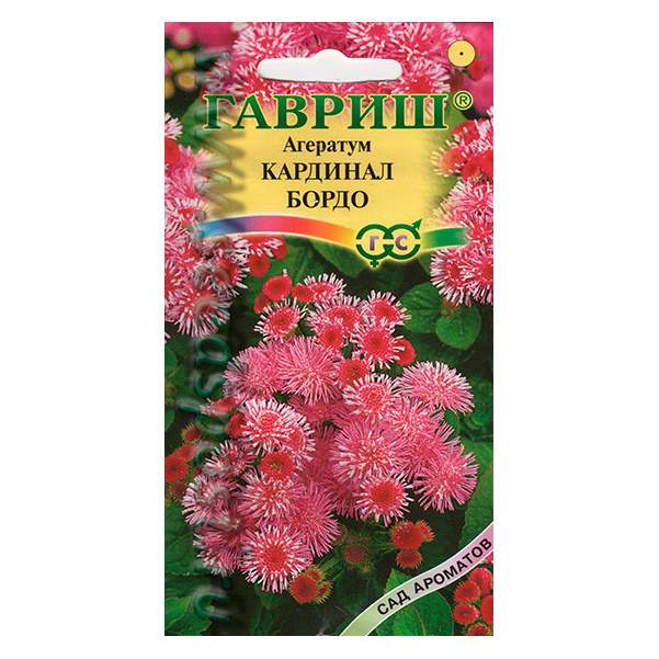

Семена. Агератум "Кардинал бордо" (10 пакетов по 0,1 г)