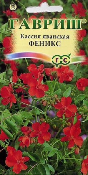 

Семена. Кассия яванская "Феникс" (10 пакетов по 3 штуки)