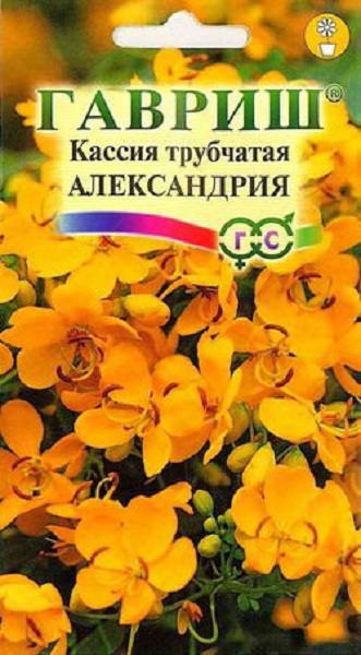

Семена. Кассия трубчатая "Александрия" (10 пакетов по 3 штуки)