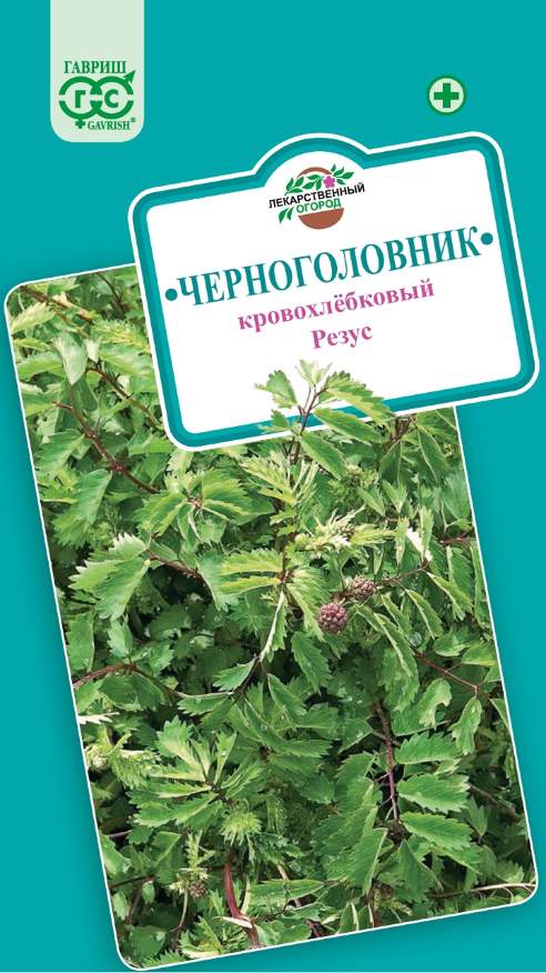 

Семена. Кровохлёбка "Резус" (10 пакетов по 0,5 г) (количество товаров в комплекте: 10)