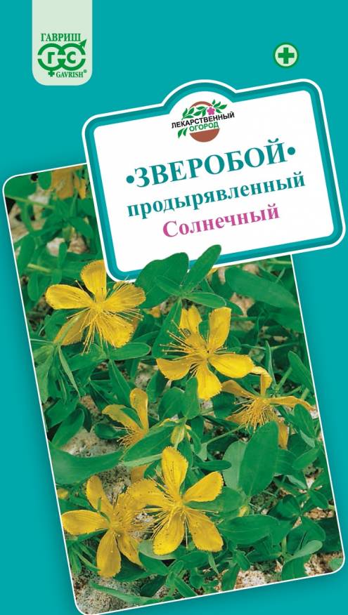 

Семена. Зверобой продырявленный "Солнечный" (10 пакетов по 0,1 г)