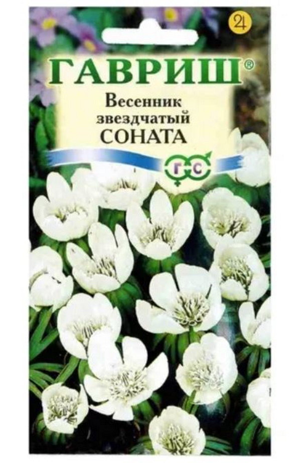

Семена. Весенник звездчатый "Соната" (10 пакетов по 0,01 г)