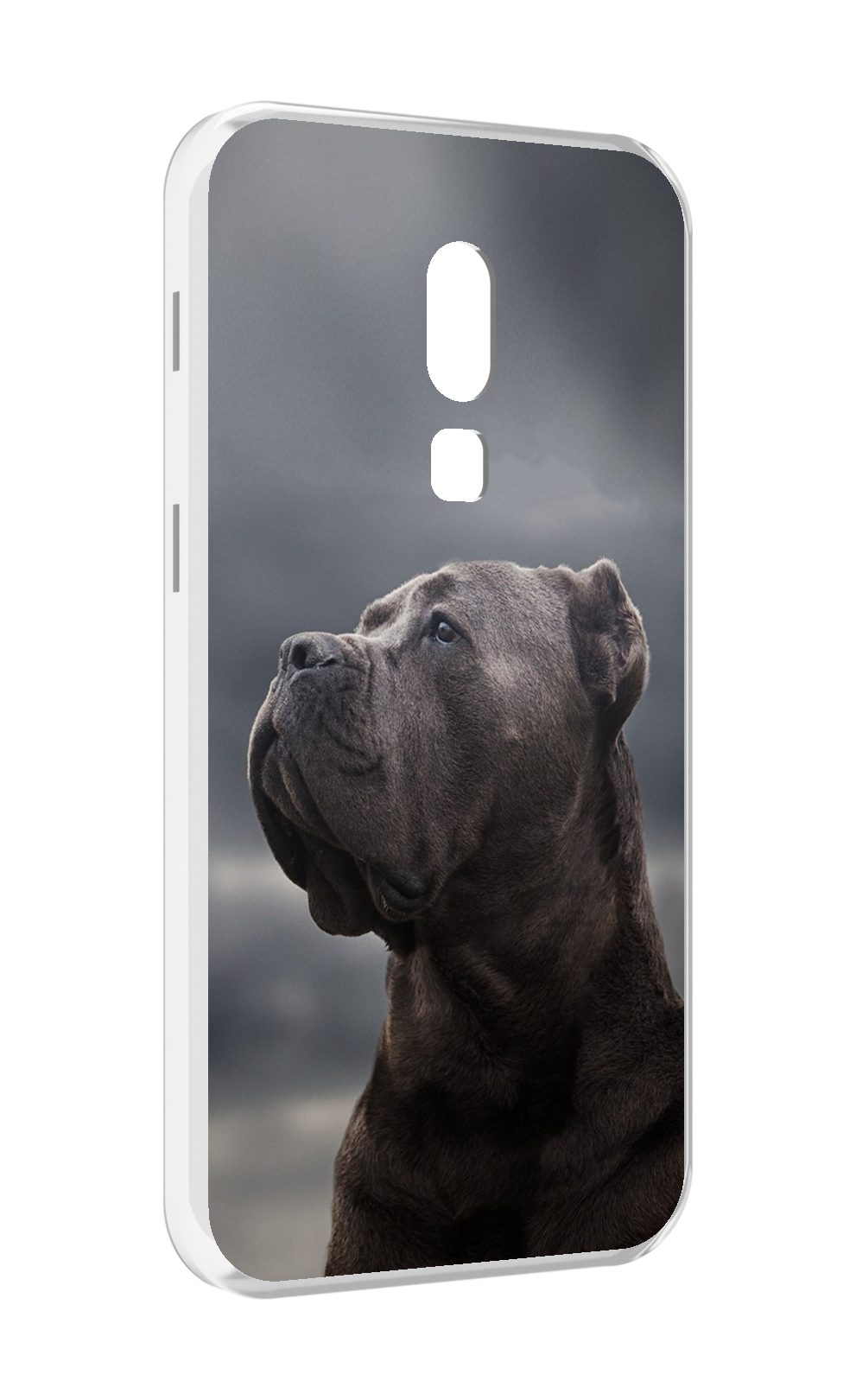 

Чехол MyPads кане корсо для Meizu V8, Прозрачный, Tocco