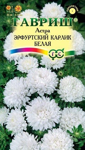 

Семена. Астра "Эрфутский карлик", белая (10 пакетов по 0,3 г)
