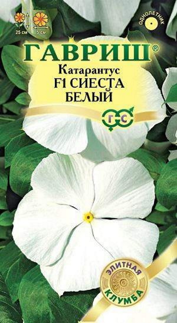 

Семена. Катарантус "Сиеста белый F1" (10 пакетов по 7 штук)