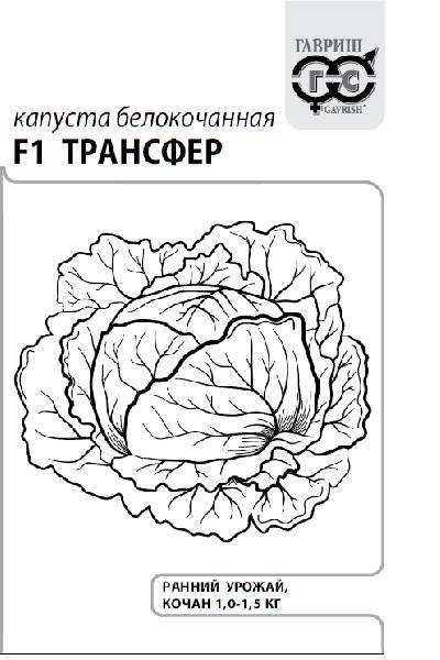 

Семена. Капуста белокочанная "Трансфер F1" (10 пакетов по 0,1 г)