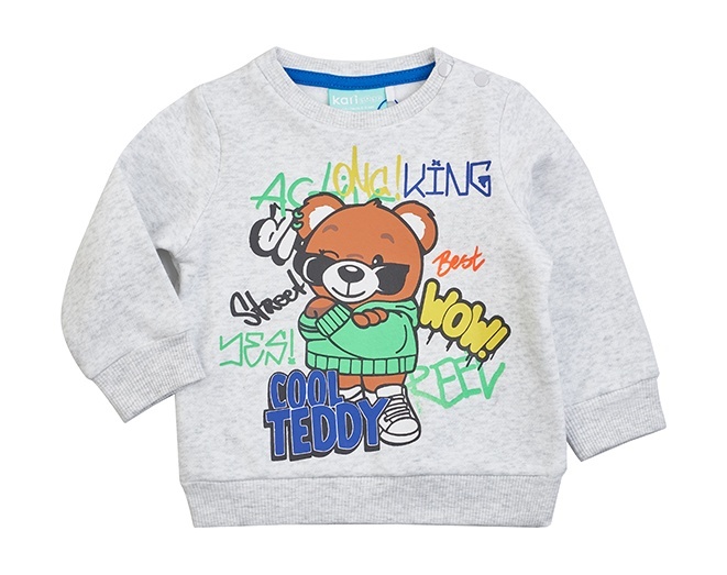

Свитшот детский Kari Baby SS24B09700709, светло-серый, 74, 229070