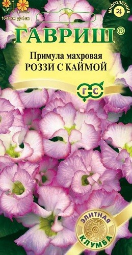 

Семена. Примула "Роззи с каймой", махровая (10 пакетов по 3 штуки)