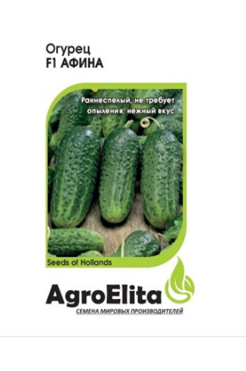 

Семена. Огурец "Афина F1", партенокарпический, Нунемс (10 пакетов по 5 штук)