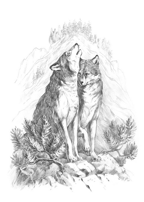 фото Картина по номерам волки в горах скетч для раскраш. чернографитными карандашами rpsb-0045 freya