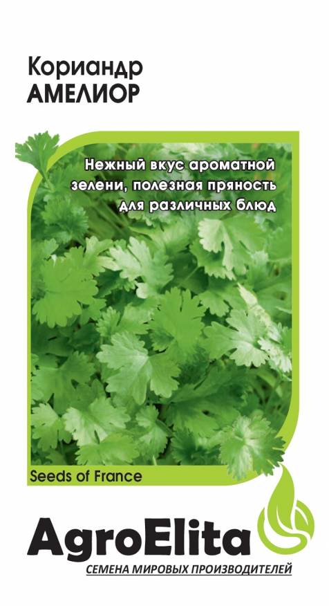 

Семена. Кориандр "Амелиор", среднеспелый (10 пакетов по 1,0 г)