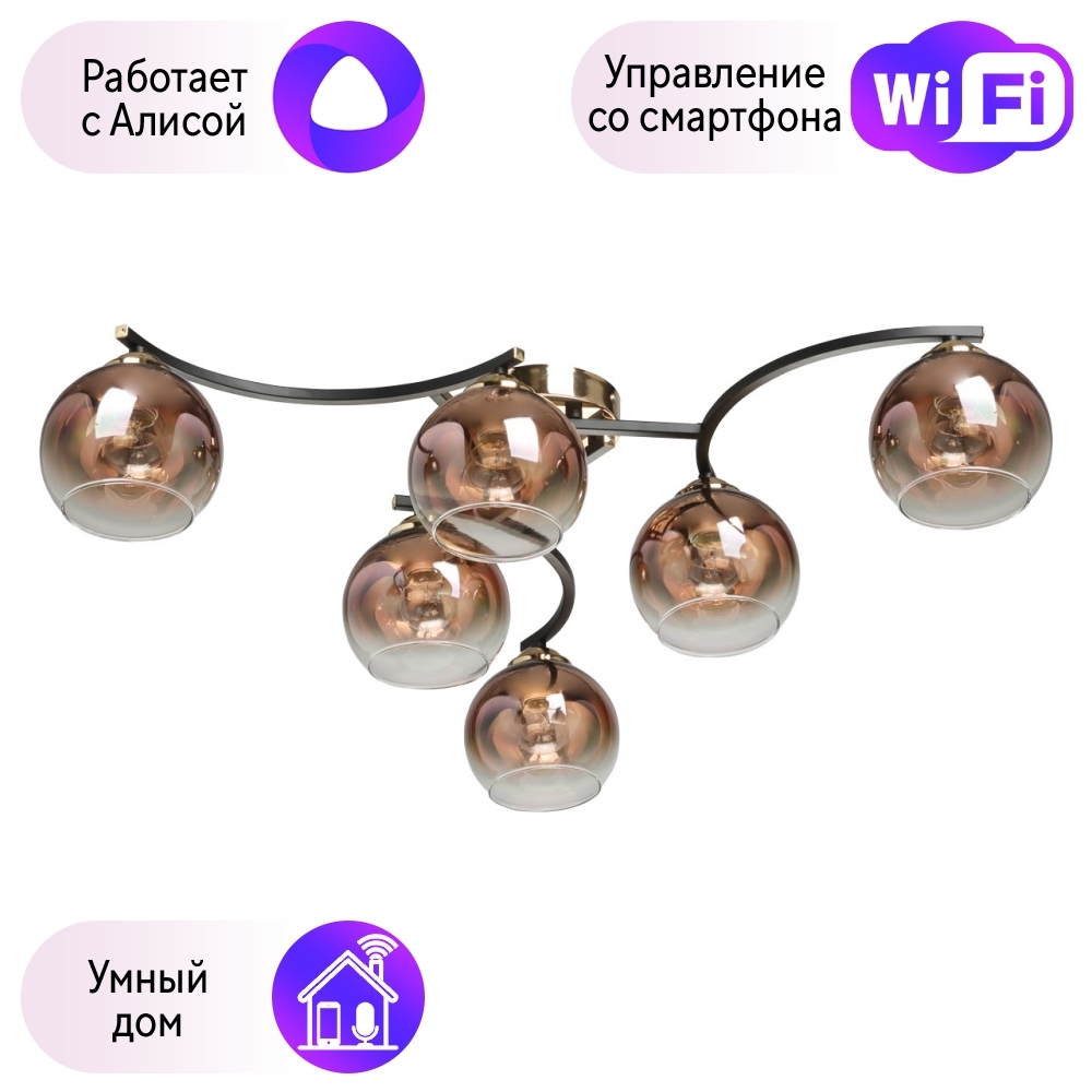 

Потолочная люстра Вита De Markt с поддержкой Алиса 220013306-A