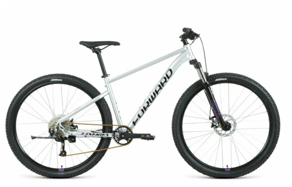 

Велосипед FORWARD Sporting 29 XX D-21"-22г. (серебристый-фиолетовый), Sporting