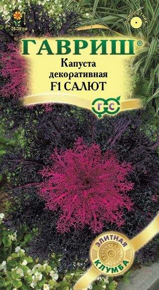 

Семена. Капуста декоративная "Салют" (10 пакетов по 7 штук)