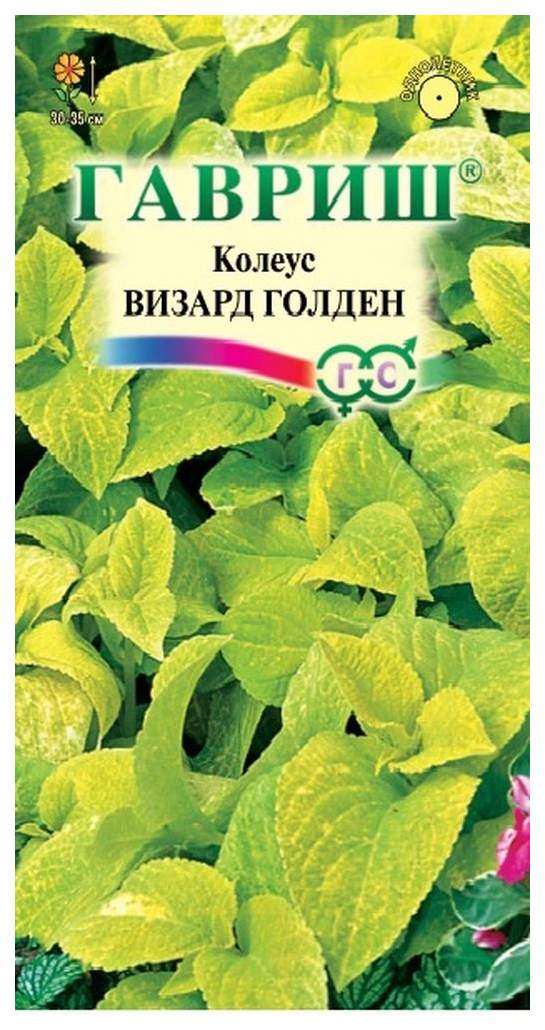 

Семена. Колеус "Визард Голден" (10 пакетов по 5 штук)