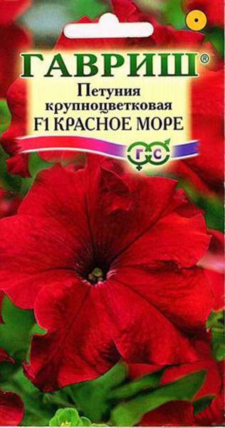 

Семена. Петуния крупноцветковая "Красное море" (10 пакетов по 1 пробирке)