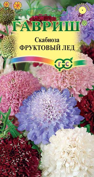 

Семена. Скабиоза пурпурная "Фруктовый лед", махровая смесь (10 пакетов по 0,3 г)