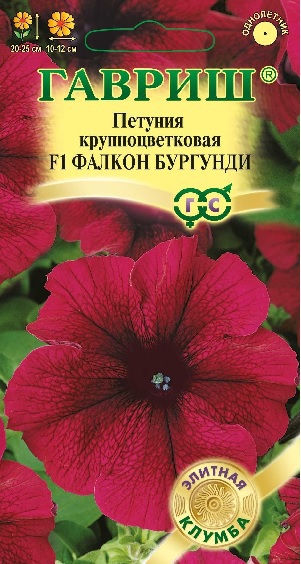 

Семена. Петуния крупноцветковая "Фалкон Бургунди F1" (10 пакетов по 1 пробирке)
