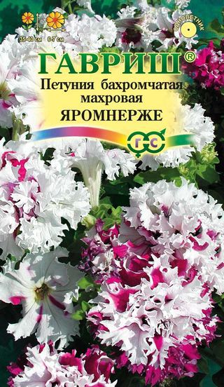 

Семена. Петуния "Яромнерже" (Фриллитуния), бахромчатая (10 пакетов по 1 пробирке)