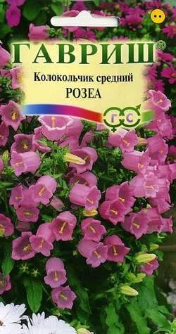 

Семена. Колокольчик средний "Розеа" (10 пакетов по 0,1 г)