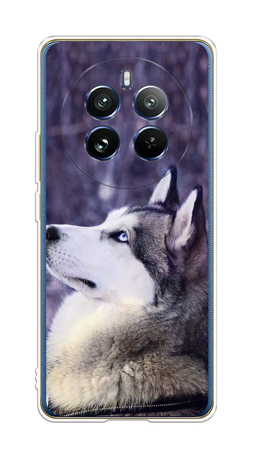 

Чехол на Realme 12 Pro/Realme 12 Pro Plus "Хаски 1", Фиолетовый;белый, 2516250-1