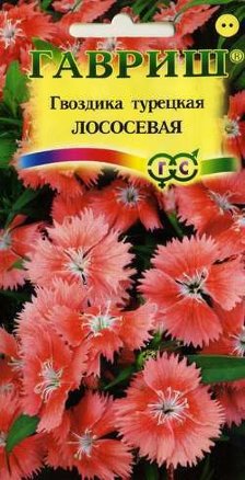 

Семена. Гвоздика турецкая "Лососевая" (10 пакетов по 0,2 г)