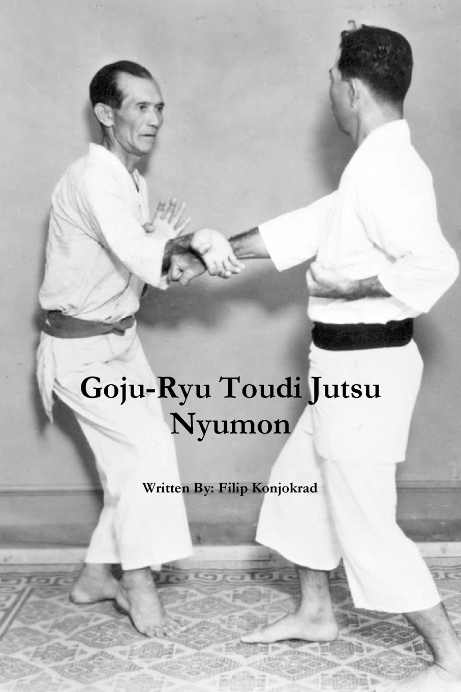 

Goju-Ryu Toudi Jutsu Nyumon