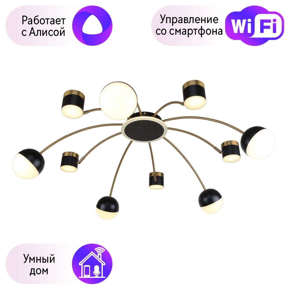 

Потолочная люстра F-Promo Canvas с поддержкой Алиса 3096-10P-A