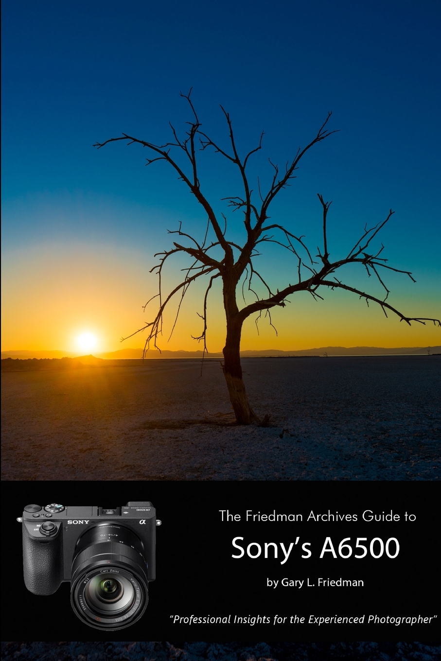 

The Friedman Archives Guide to Sony's Alpha 6500 (B&W Edition)