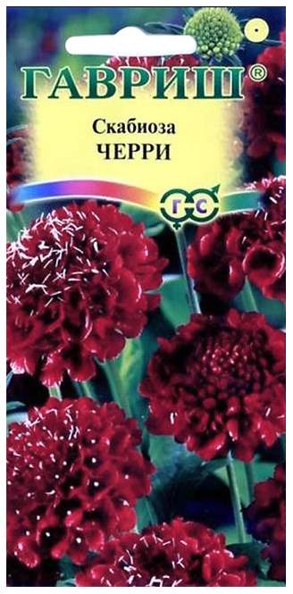 

Семена. Скабиоза пурпурная "Черри", махровая (10 пакетов по 0,2 г)