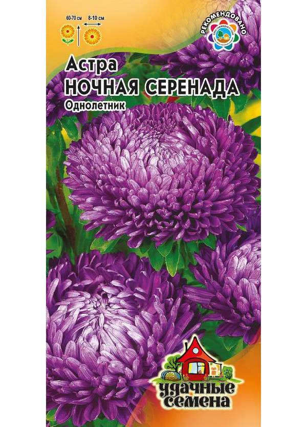 

Семена. Астра "Ночная серенада" (10 пакетов по 0,3 г), пионовидная