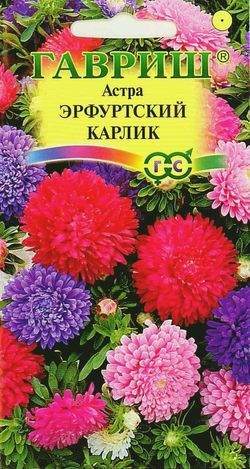 

Семена. Астра "Эрфуртский карлик", смесь (10 пакетов по 0,3 г)