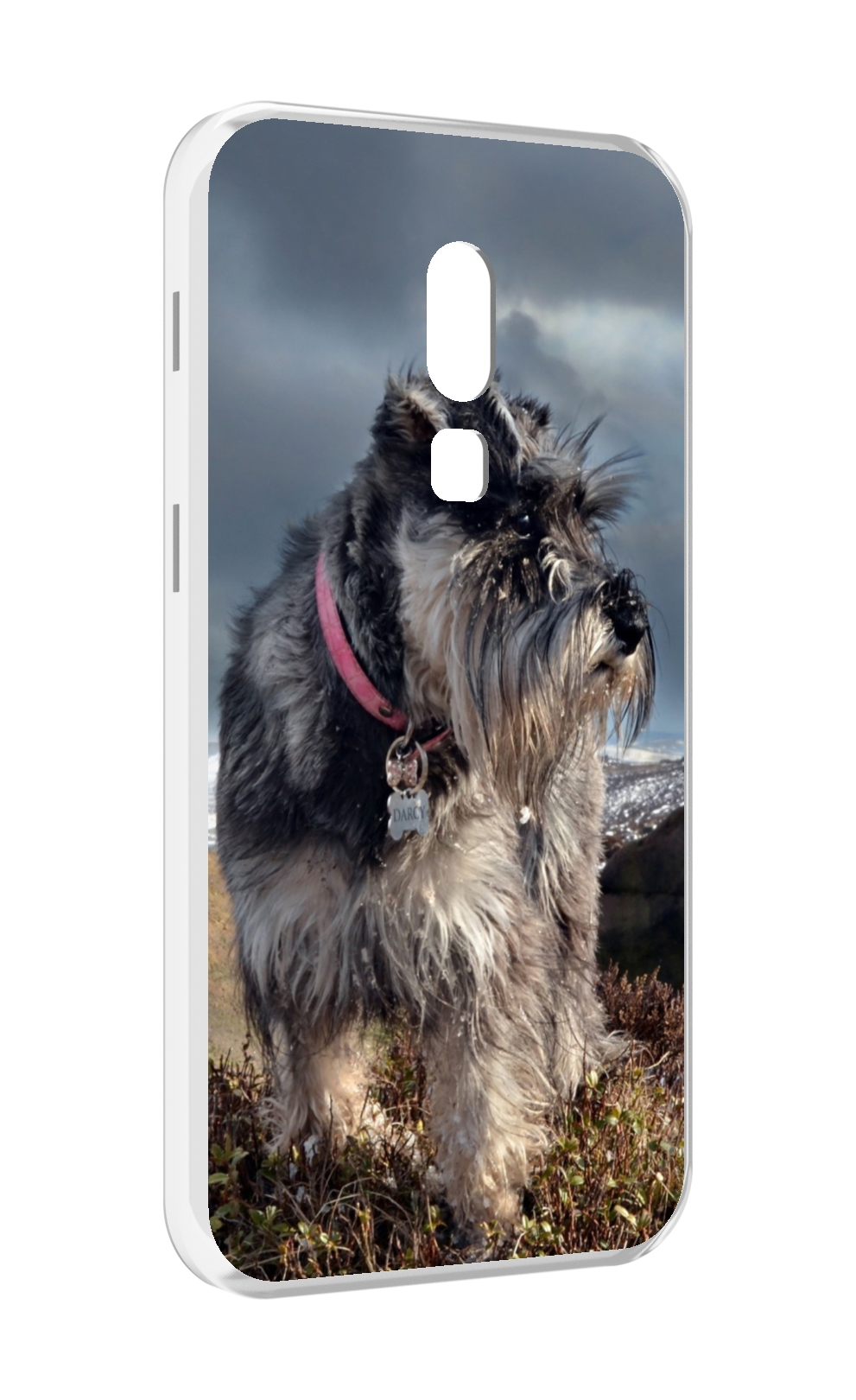 

Чехол MyPads ризеншнауцер 2 для Meizu V8, Прозрачный, Tocco