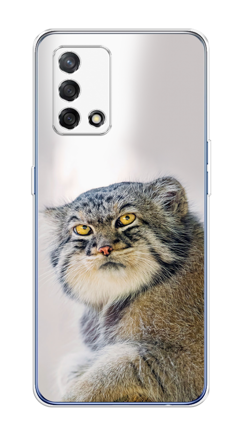

Чехол на OPPO A74 4G/F19 "Кот манул 1", Серый;белый;желтый, 256050-1